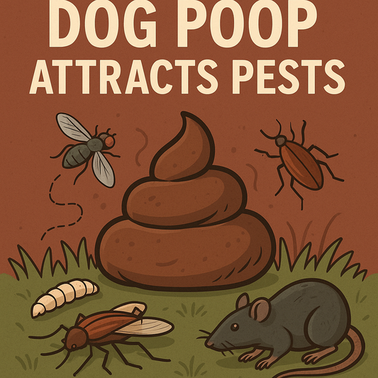 Why Dog Poop Attracts Pests (And What You Can Do About It)